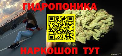 тгк Славянск-на-Кубани