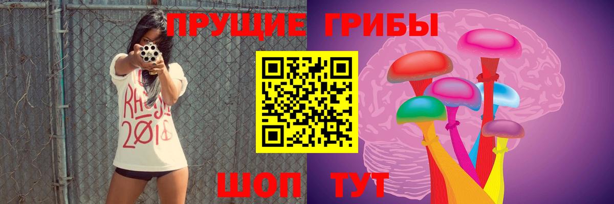 Галлюциногенные грибы прущие грибы Родники