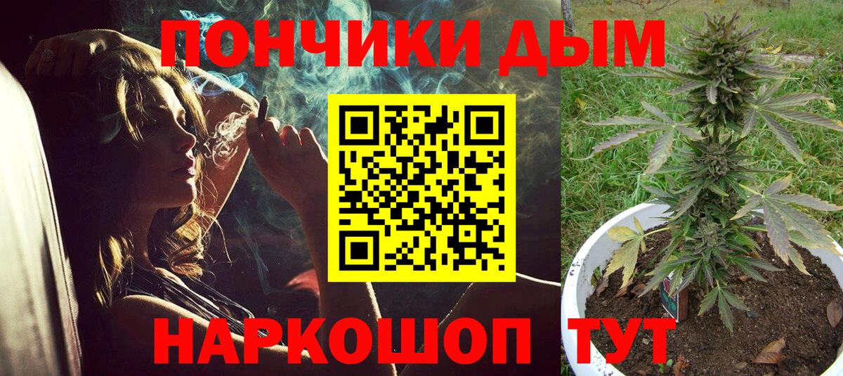 Шишки марихуана планчик  МАРИХУАНА индика  Родники  МАРИХУАНА MAZAR  Вход с VPN  Шишки марихуана Amnesia 